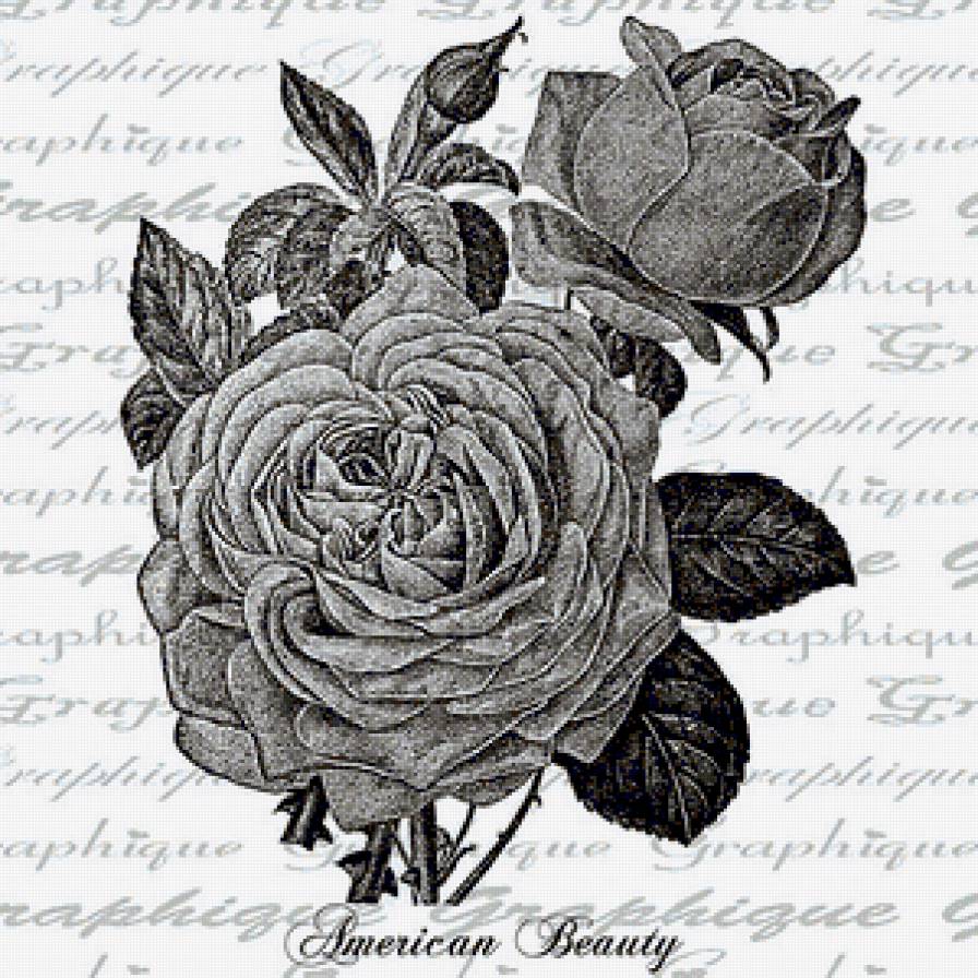 роза 2 - полиптих, черно-белое, роза, триптих, монохром, цветы, диптих - предпросмотр