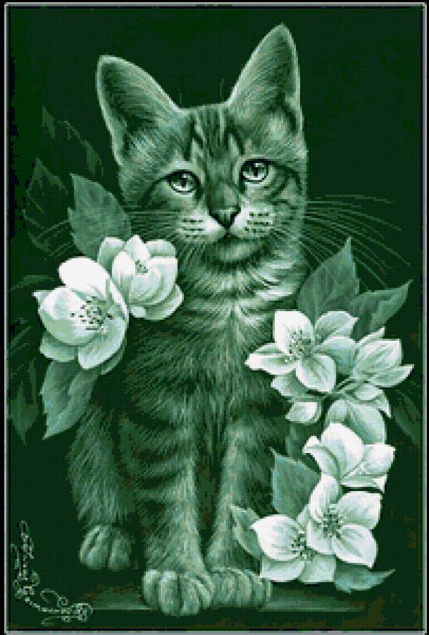 №212952 - предпросмотр