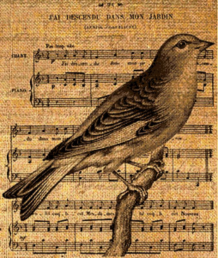 птица - птицы, музыка, черно-белое, птички, птица, монохром - предпросмотр