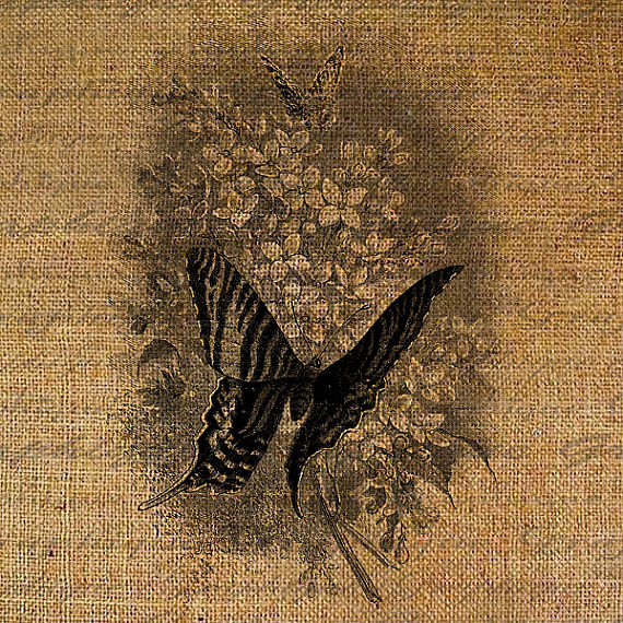 бабочки - монохром, картина, цветы, бабочка, бабочки, черно-белое, букет - оригинал