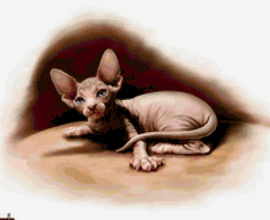 китти голор - предпросмотр