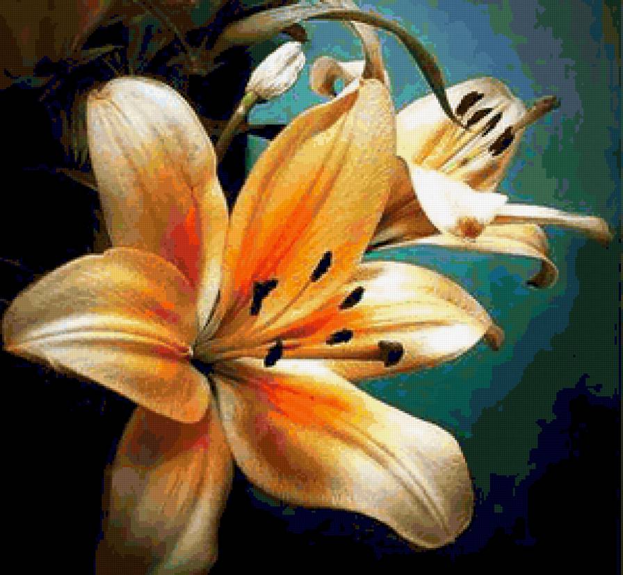 Розовая лилия - розы, цветок, лилия, цветы, флора, букет - предпросмотр