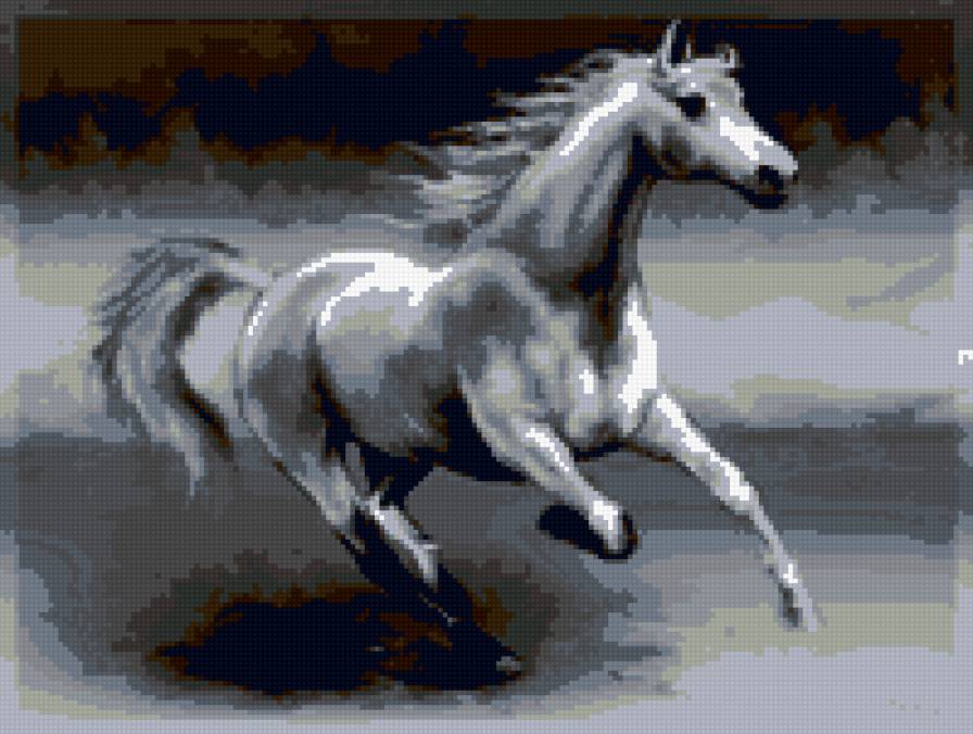 скакун - конь, галоп, лошадь - предпросмотр