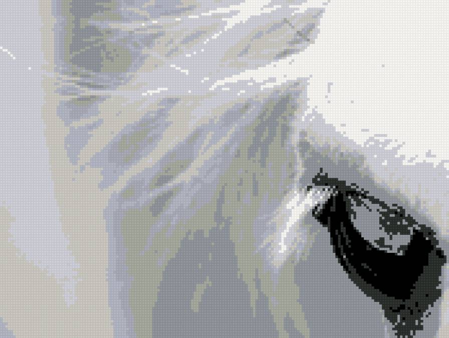 глаз - предпросмотр