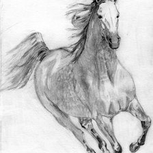 Схема вышивки «галоп»