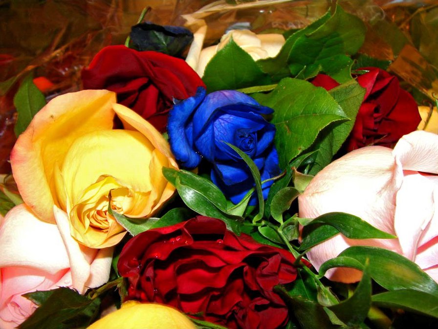 Розы - оригинал