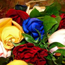 Схема вышивки «Розы»