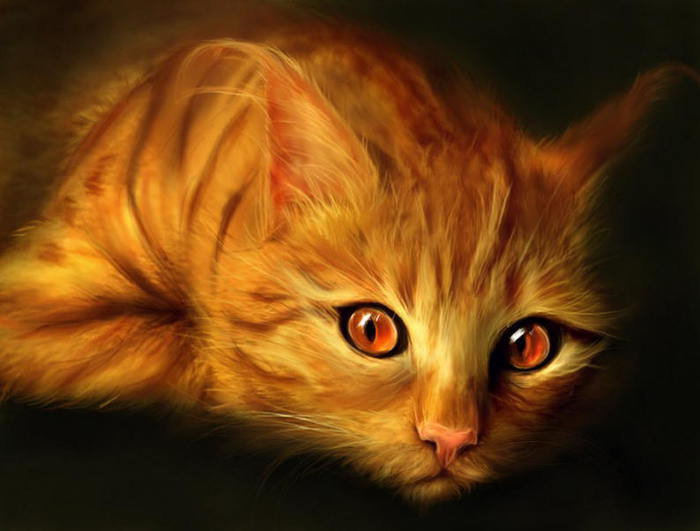 №213551 - оригинал