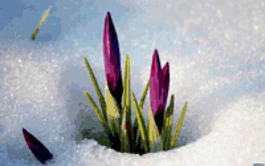 пробуждение - весна цветы - предпросмотр