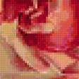 Предпросмотр схемы вышивки «Розы» (№213754)