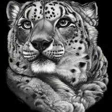 Схема вышивки «Портрет гепарда»