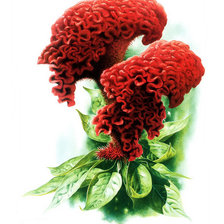 Схема вышивки «цветок»