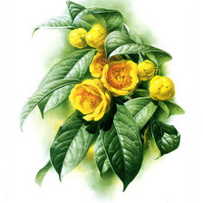 Схема вышивки «Желтая камелия»