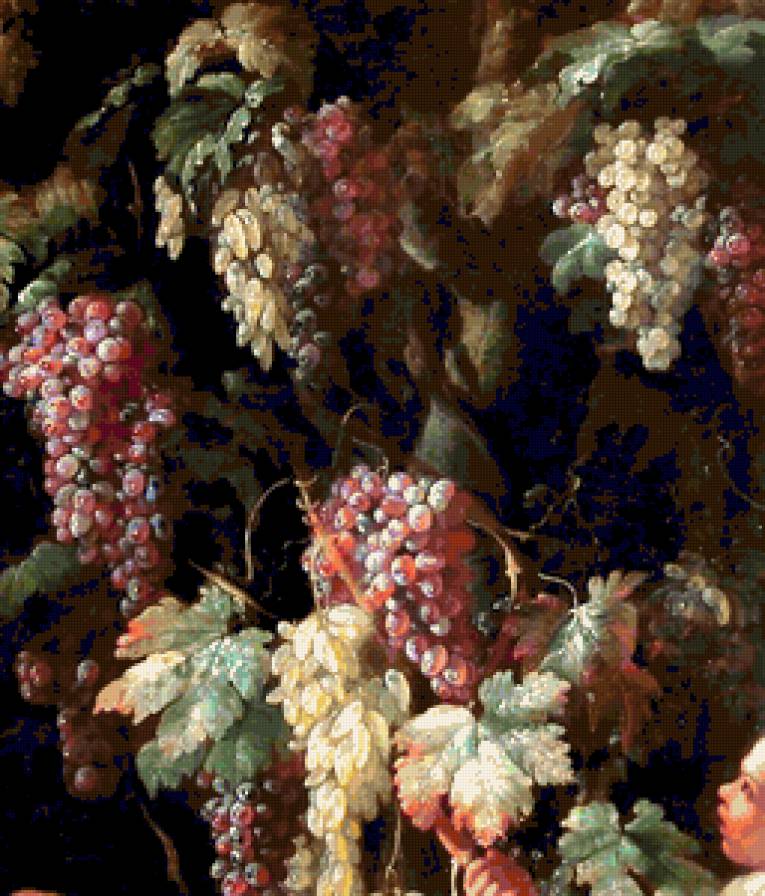 Виноградные гроздья - виноград, растения, природа - предпросмотр