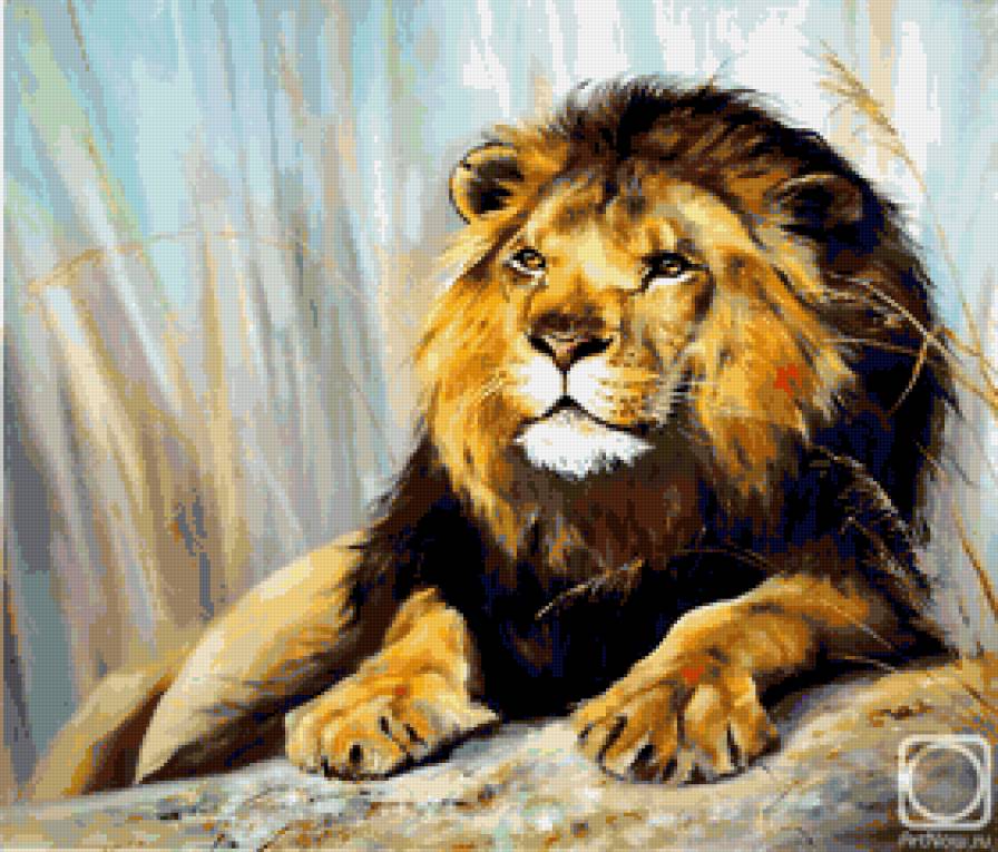 Лев - животные.фауна.лев - предпросмотр