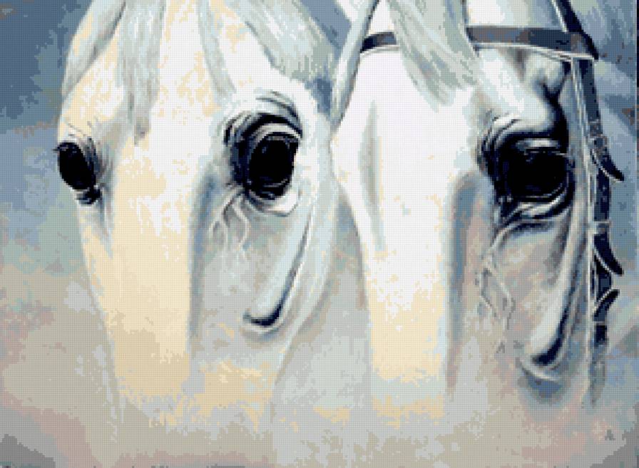 Близнецы - животные.фауна.лошадь - предпросмотр