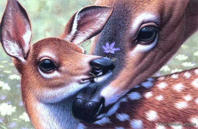 нежность - животные - оригинал