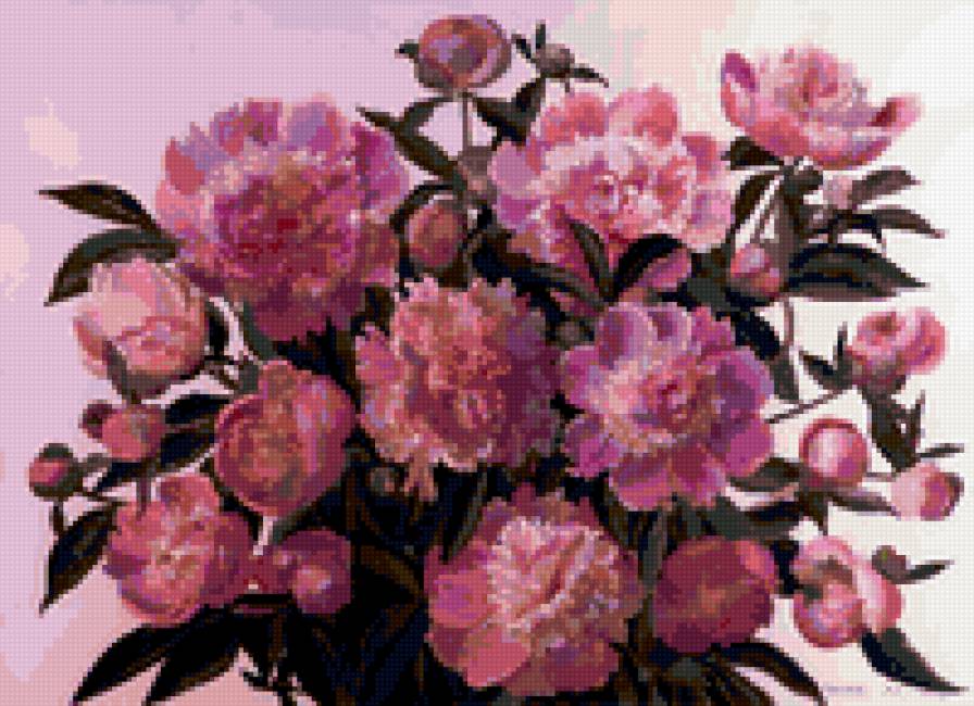 Пионы - пионы, букет, цветы, розовые - предпросмотр