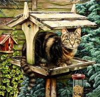 №214378 - оригинал