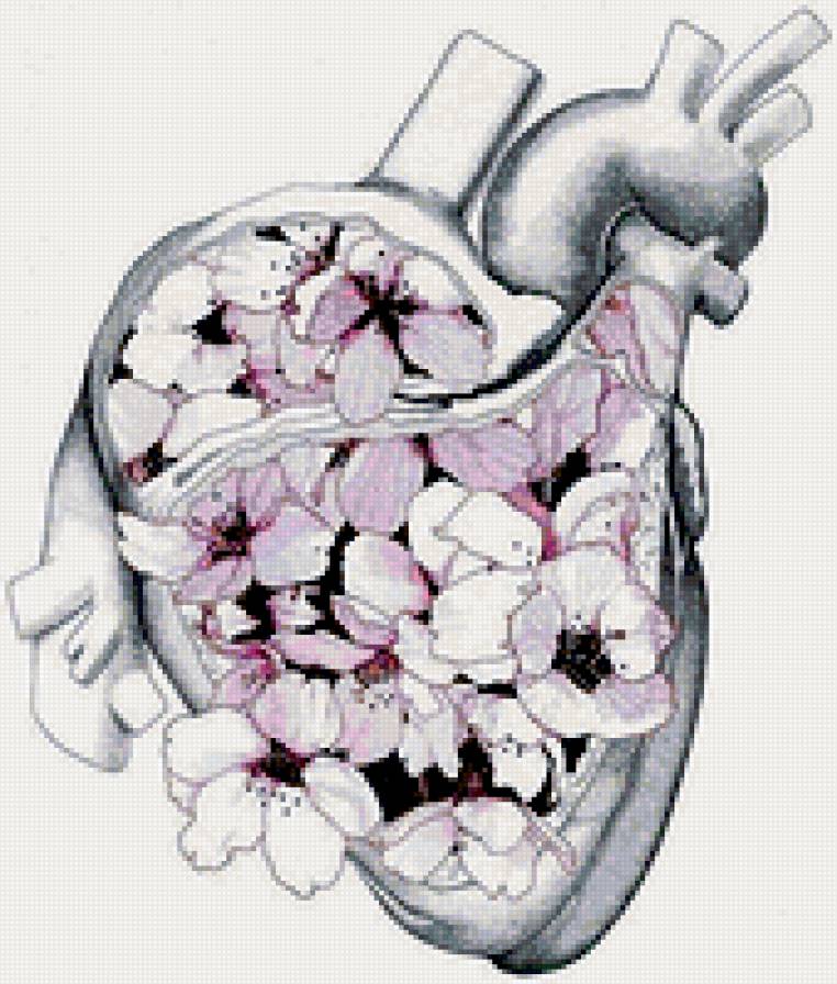 Сердце - предпросмотр