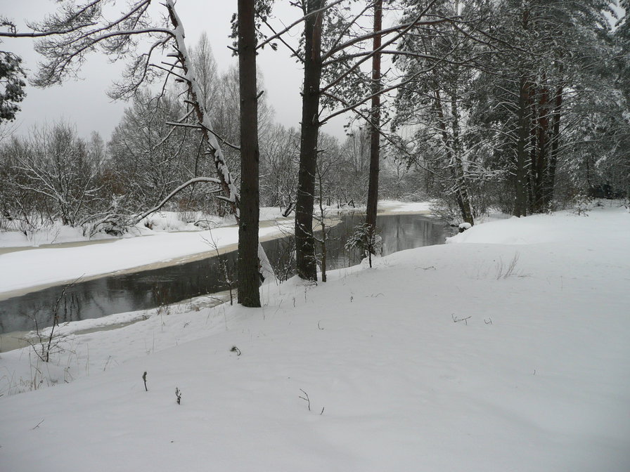 Зимняя река - зима, день, лес, снег, река - оригинал