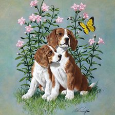 Оригинал схемы вышивки «№214701»