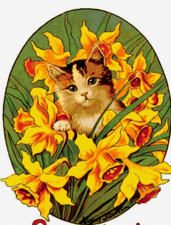 котенок в цветах - предпросмотр