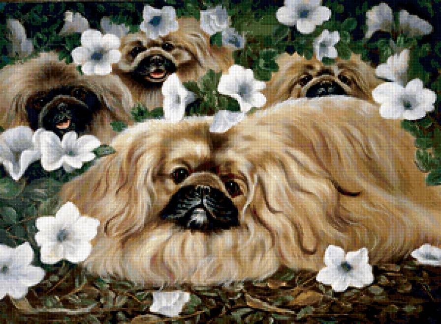 ДИПТИХ   "Две мелодии" - собачки, семья, цветы, природа, взгляд, диптих, животные - предпросмотр