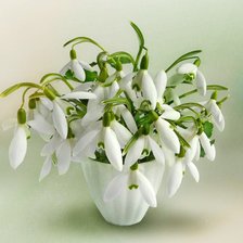 Схема вышивки «подснежники»