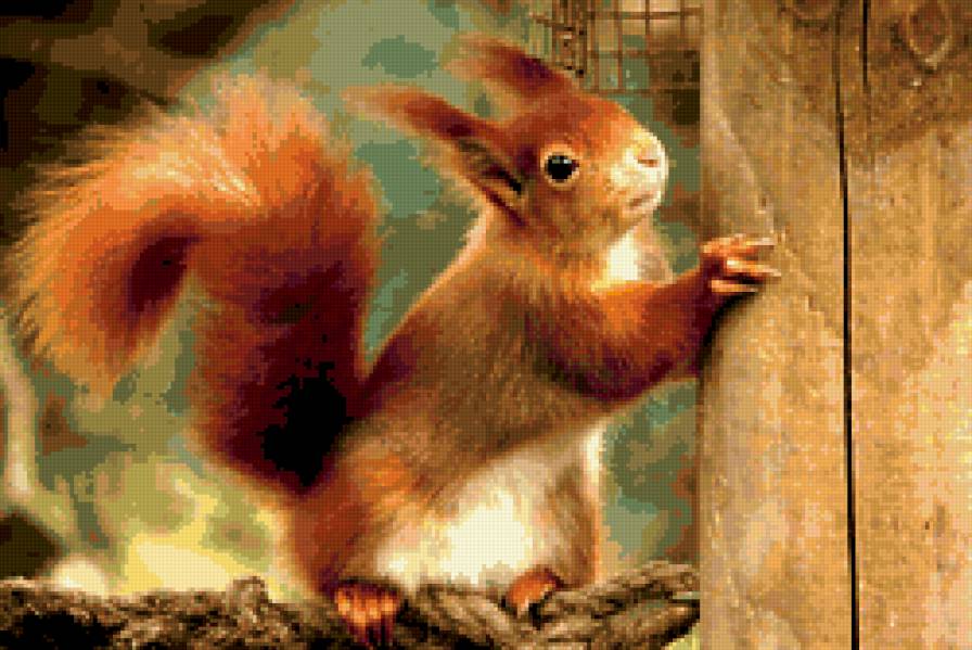 серия "животные" - животные.белка - предпросмотр