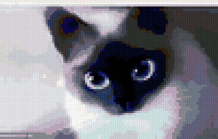 Котик - животные, кошки, кот - предпросмотр