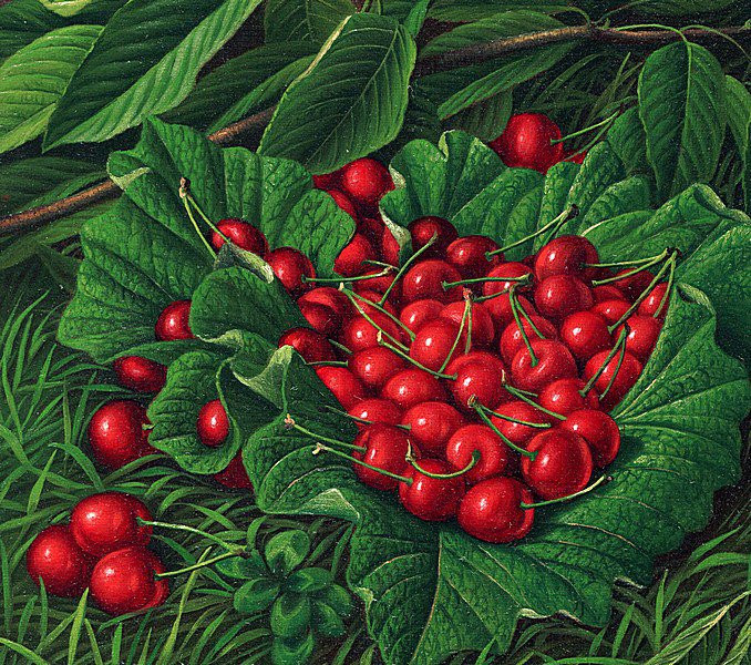 Вишни - вишни - оригинал