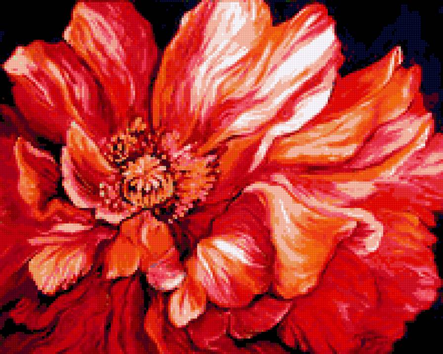 Мак - мак, цветы - предпросмотр