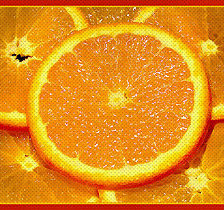 Оригинал схемы вышивки «апельсиновое безумие» (№215407)