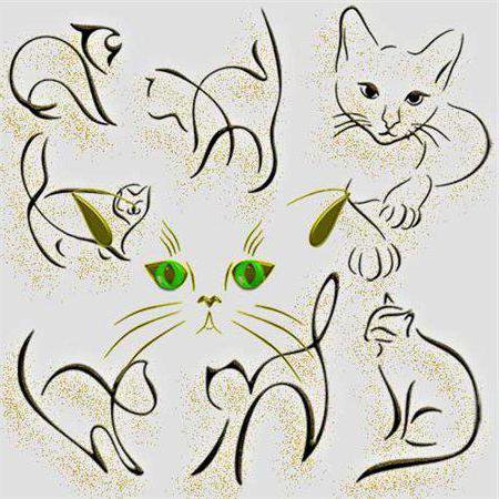 кошки - коты, домашние животные, кошкa, котенок, животные, кот, кошки - оригинал