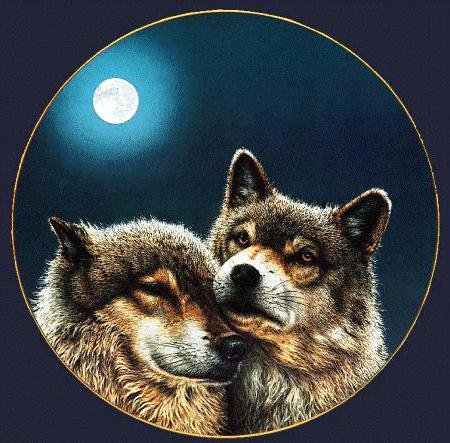 Два волка и луна на чёрном - хищник, пара, луна, животные, ночь, волки, волк - оригинал