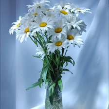 Схема вышивки «цветы»