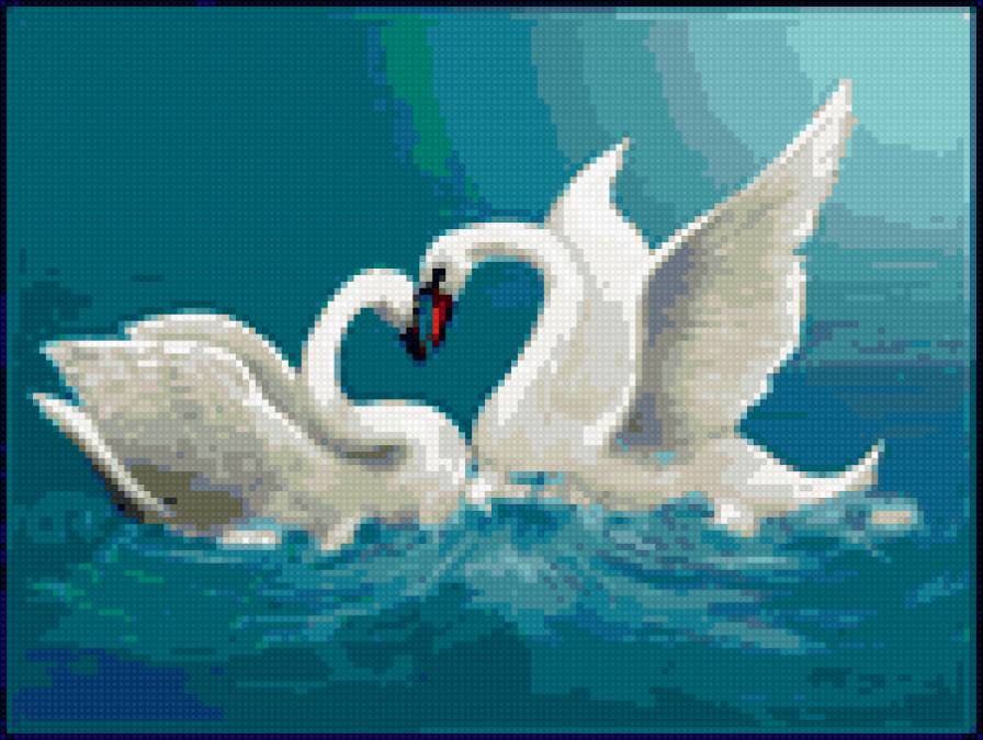 Лебеди - птицы - предпросмотр