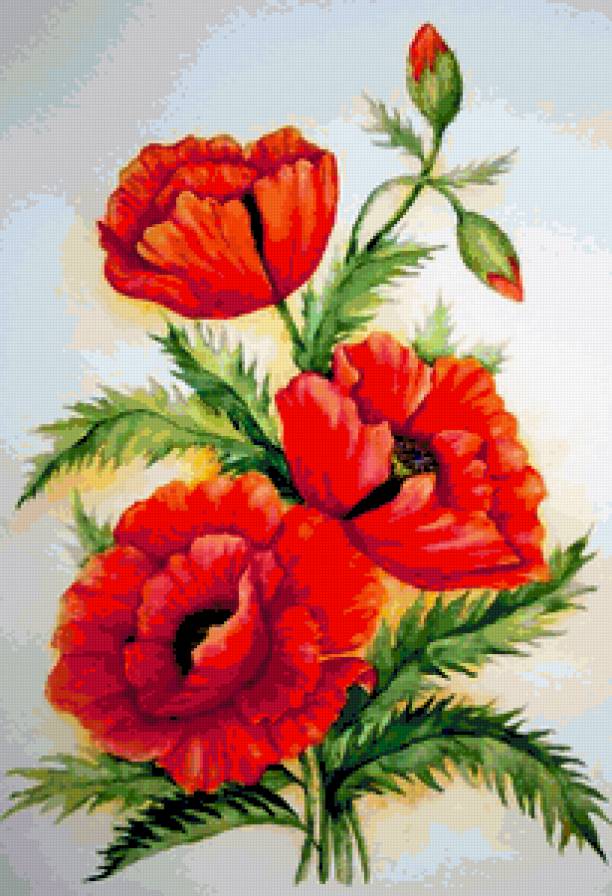 №215744 - предпросмотр