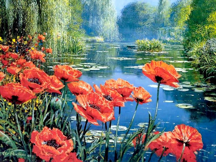 Маки на берегу - цветы - оригинал