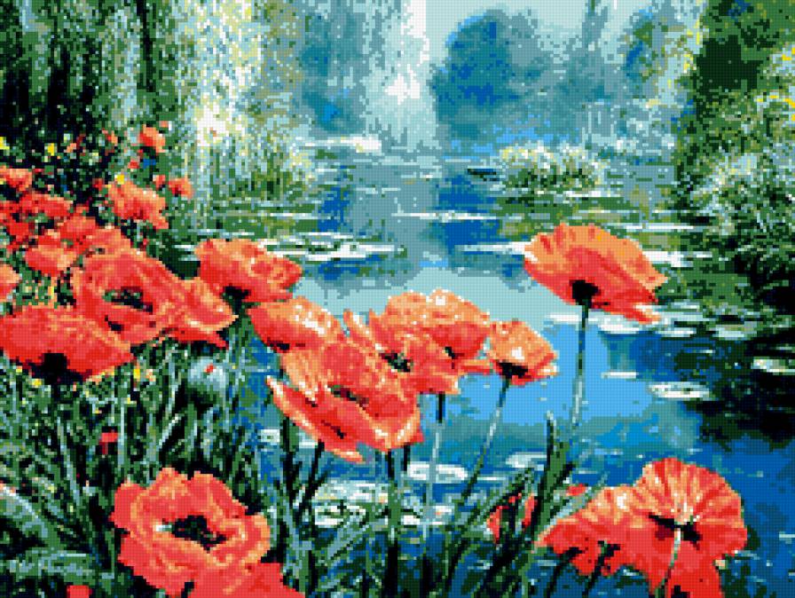 Маки на берегу - цветы - предпросмотр