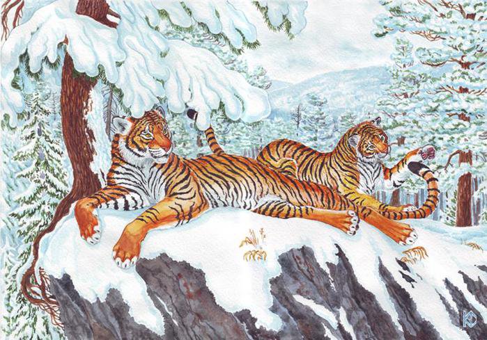 ТИГРЫ - зима, зимний пейзаж, тигр, пара, снег, самец, горы, лес, самка - оригинал