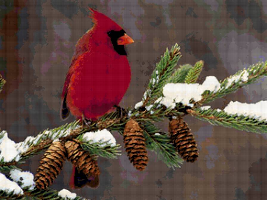 №216006 - предпросмотр