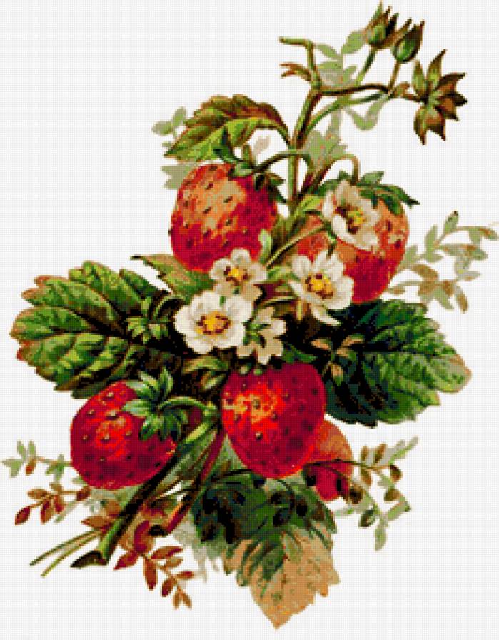 Земляника - земляника, урожай, ягоды, ягодки, панно, клубника - предпросмотр