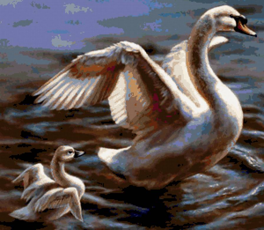 Лебединая семья - птицы, лебеди, птица, озеро - предпросмотр