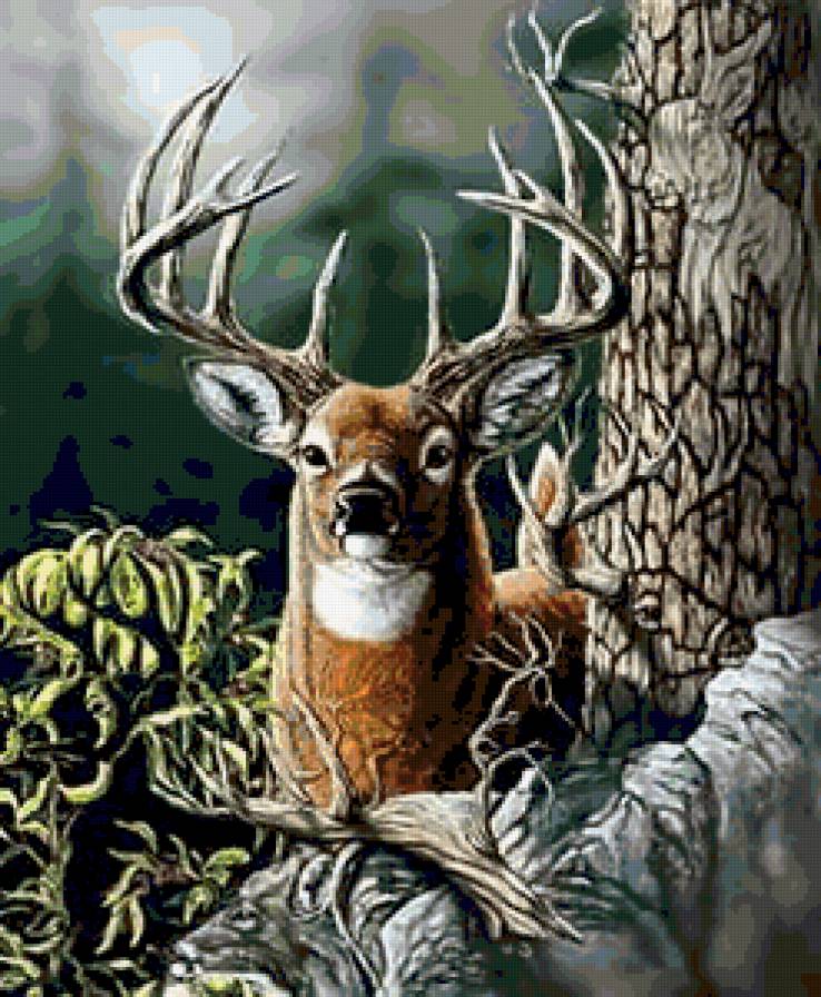 Лесной олень - олень, природа, лес, животные, пейзаж - предпросмотр