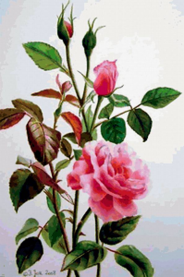 №216076 - предпросмотр