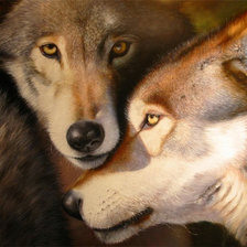 Схема вышивки «волки»