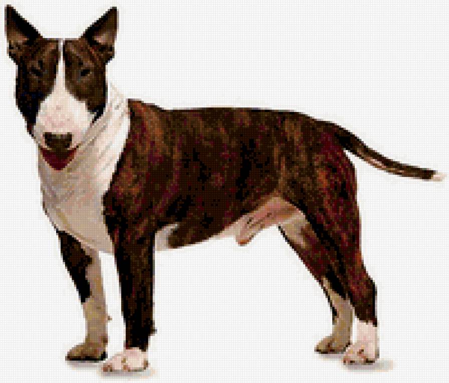 №216110 - предпросмотр