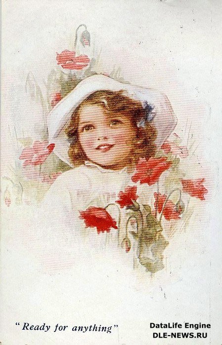 Девочка с маками - цветы, улыбка, маки, девочка - оригинал